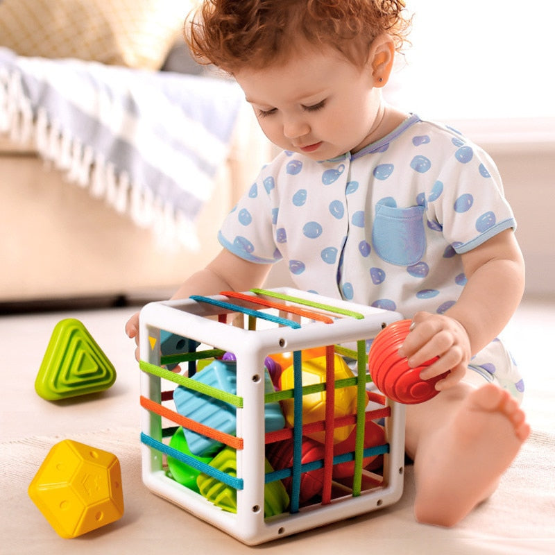 Montessori Box™- Educational Box